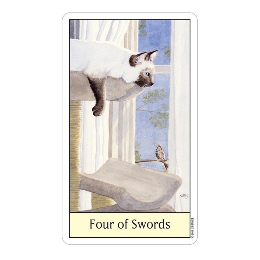 ألعاب بطاقات التاروت لعيون الق - مراجعة Tarot Deck With Guidebook وسعره